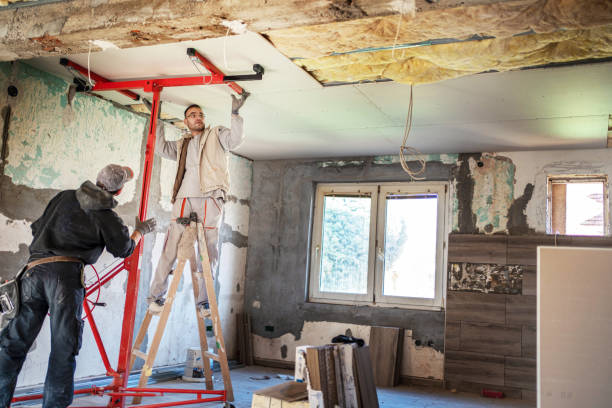 Best Insulation Maintenance and Repair in Battle Mountain, NV