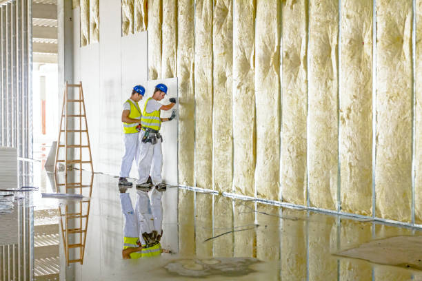 Best Spray Foam Insulation in Battle Mountain, NV